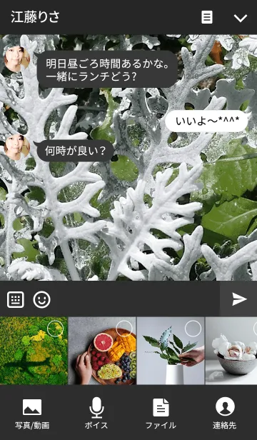 [LINE着せ替え] Dusty Miller-クシロタエギクの画像4