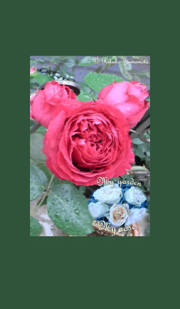 [LINE着せ替え] My garden, My rose_Rouge Pierre_3の画像1