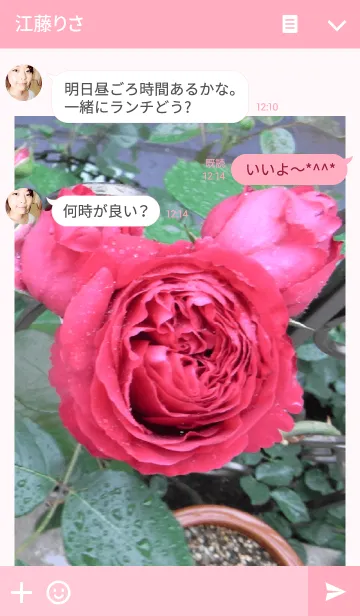 [LINE着せ替え] My garden, My rose_Rouge Pierre_3の画像3