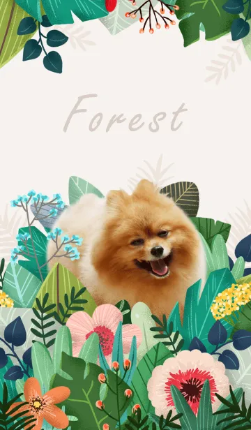 [LINE着せ替え] ワンワンの森の画像1