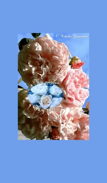 My garden, My rose_Masako Eglantine_4の着せ替えメイン画像