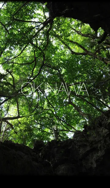 [LINE着せ替え] 山原の森の画像1