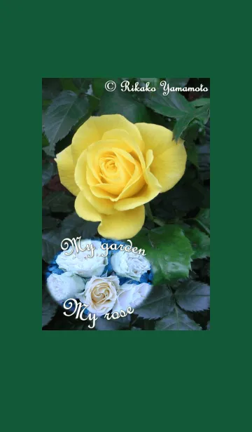 My garden, My rose_Gold Bunnyの着せ替えメイン画像