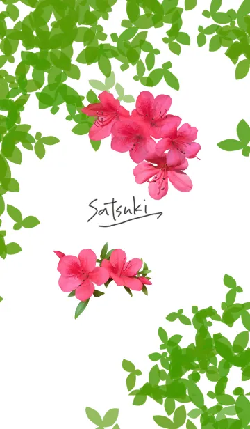 [LINE着せ替え] さつき ～Satsuki azalea～の画像1