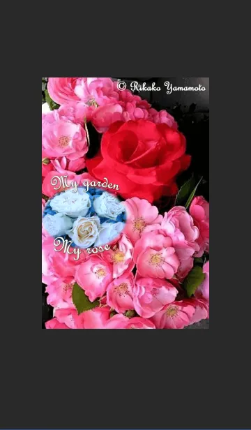 [LINE着せ替え] My garden, My rose_Angelaの画像1