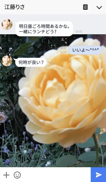 [LINE着せ替え] My garden, My rose_Golden Celebrationの画像3