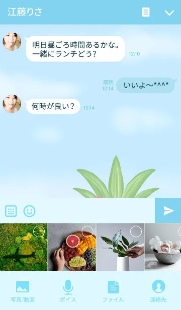 [LINE着せ替え] Summer Pola bearの画像4