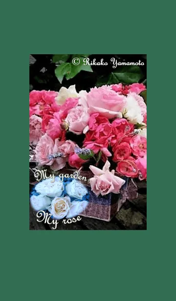 [LINE着せ替え] My garden, My rose_Various_3の画像1
