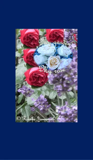 My garden, My rose_Rouge Pierre_2の着せ替えメイン画像