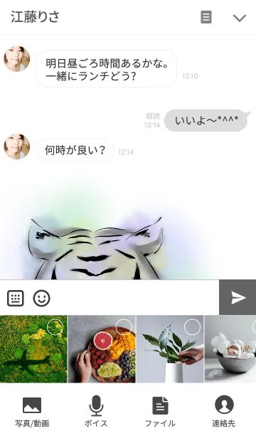 [LINE着せ替え] Brilliant tigerの画像4