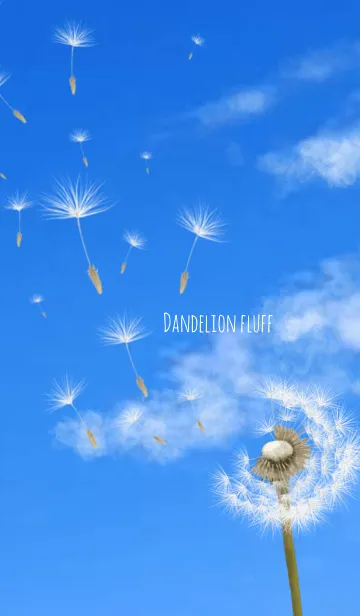 [LINE着せ替え] たんぽぽの綿毛の画像1