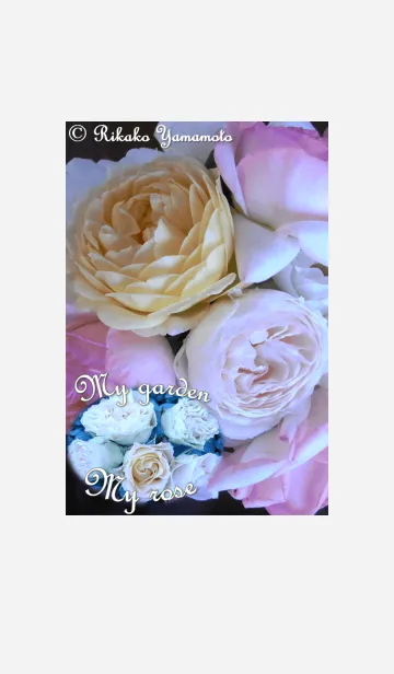 My garden, My rose_Golden Celebration_2の着せ替えメイン画像