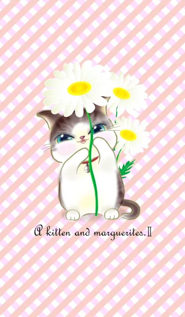 [LINE着せ替え] 子猫ちゃんとマーガレットの花2の画像1