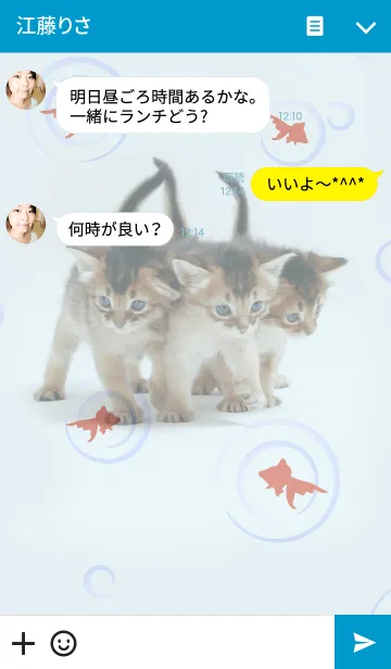 [LINE着せ替え] わんにゃんLOVE やんちゃな子猫ソマリ！の画像3