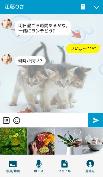 [LINE着せ替え] わんにゃんLOVE やんちゃな子猫ソマリ！の画像4