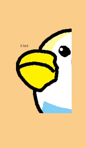鳥が。オレンジの着せ替えメイン画像