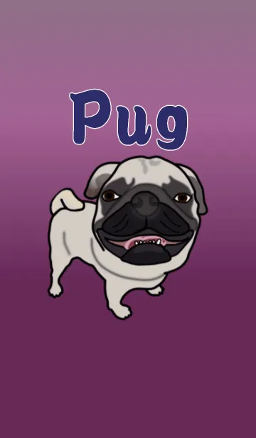 [LINE着せ替え] 可愛いパグの画像1