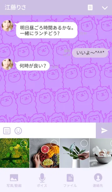 [LINE着せ替え] alpaca alpaca alpaca vol.2の画像4