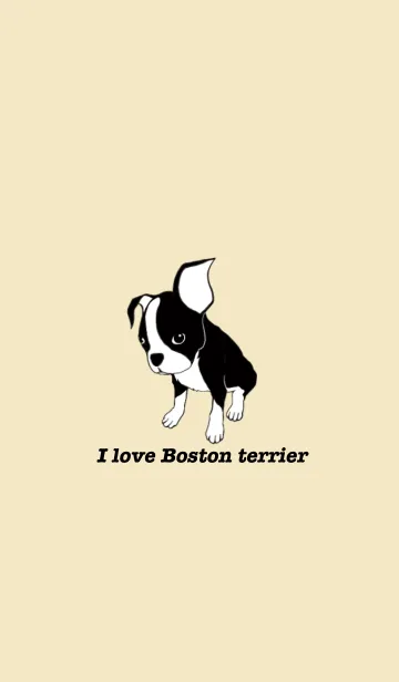 [LINE着せ替え] I love Boston Terrierの画像1