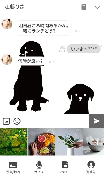 [LINE着せ替え] シンプルな兄弟の犬の画像4