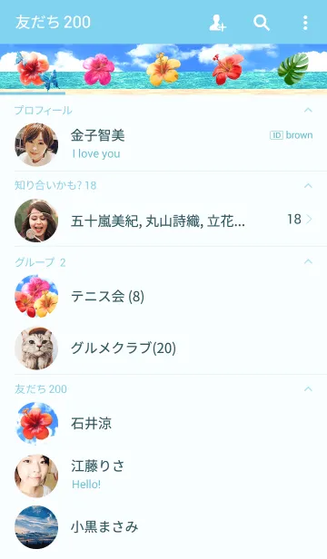 [LINE着せ替え] ハイビスカスの画像2