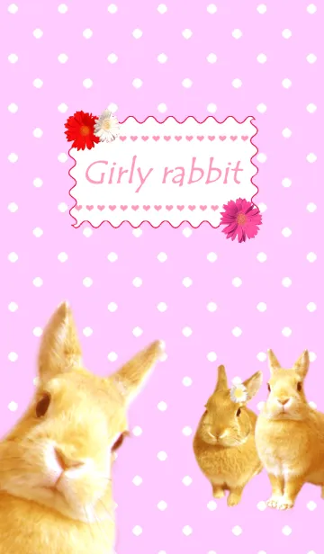 Dot pattern and rabbitのLINE着せ替え