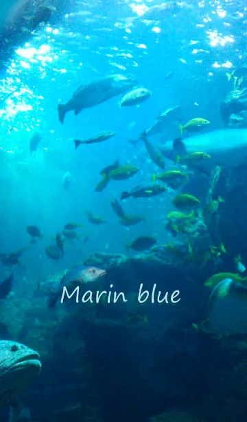 [LINE着せ替え] Marin blueの画像1