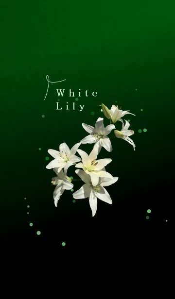 [LINE着せ替え] White Lilyの画像1