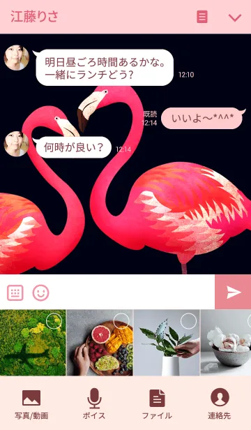 [LINE着せ替え] フラミンゴ-Flamingo-の画像4