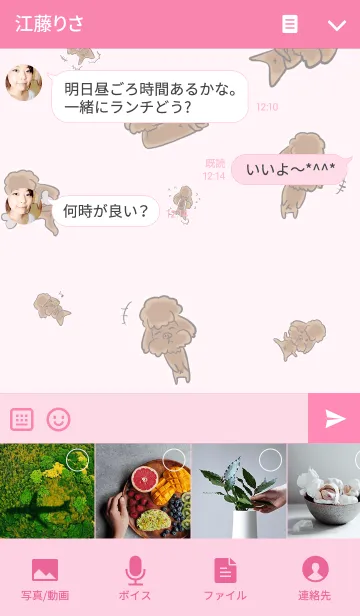 [LINE着せ替え] Pink theme of my sister's dog "Sheep" 2の画像4