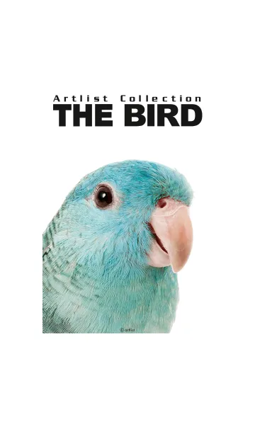 [LINE着せ替え] Artlist Collection THE BIRDの画像1