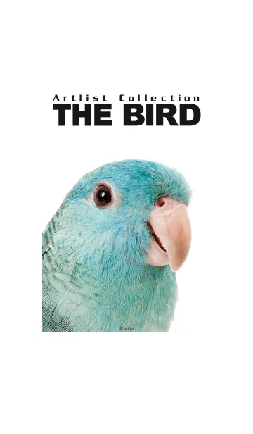 Artlist Collection THE BIRDの着せ替えメイン画像