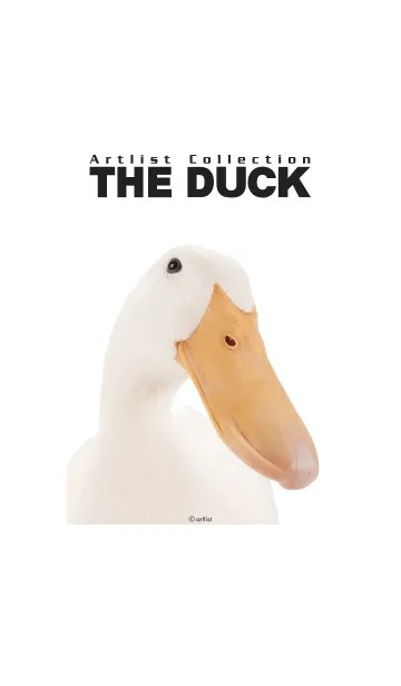 [LINE着せ替え] Artlist Collection THE DUCKの画像1