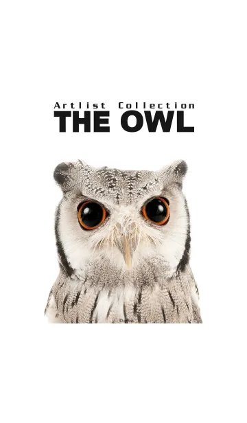 [LINE着せ替え] Artlist Collection THE OWLの画像1
