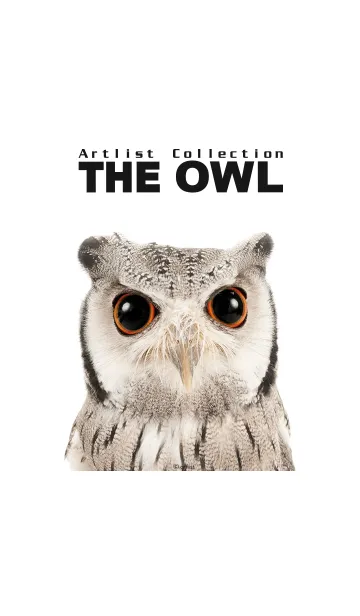 Artlist Collection THE OWLの着せ替えメイン画像