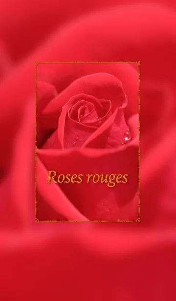 [LINE着せ替え] Roses rouges 〜真っ赤なバラ〜の画像1