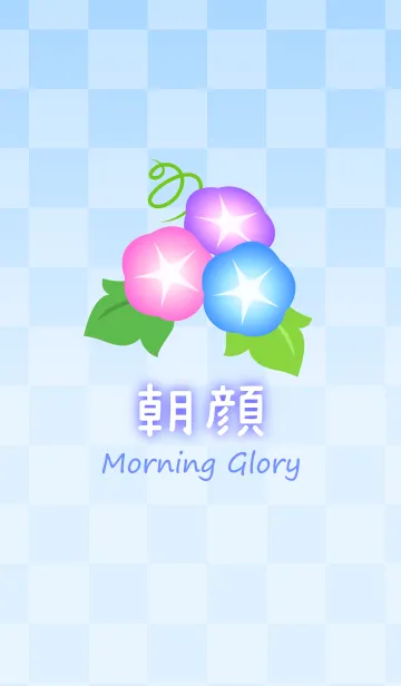 [LINE着せ替え] 爽やかな和柄 朝顔の着せかえの画像1