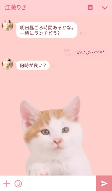 [LINE着せ替え] Cute Cat かわいい茶白の子猫の画像3