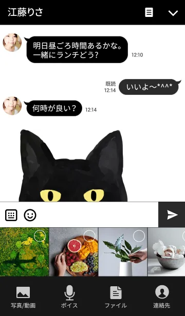 [LINE着せ替え] 黒い猫の画像4