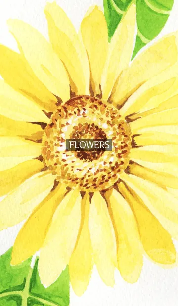 [LINE着せ替え] water color flowers_259の画像1