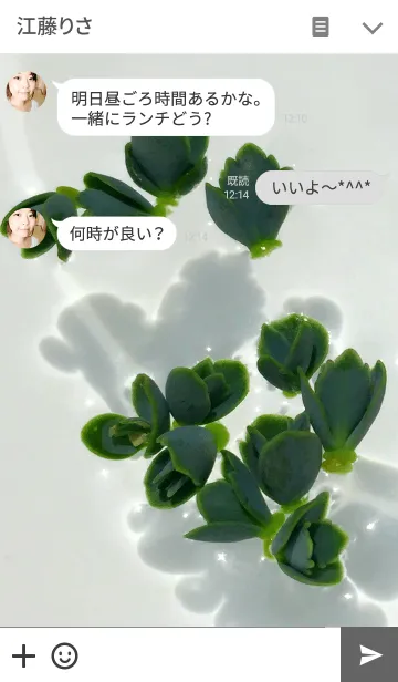[LINE着せ替え] Floating Succulents ~水に浮かぶ多肉植物~の画像3