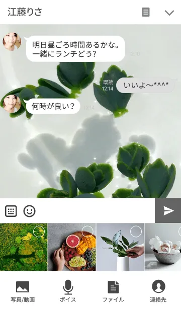 [LINE着せ替え] Floating Succulents ~水に浮かぶ多肉植物~の画像4