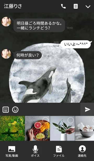 [LINE着せ替え] Orcas' Moon Danceの画像4