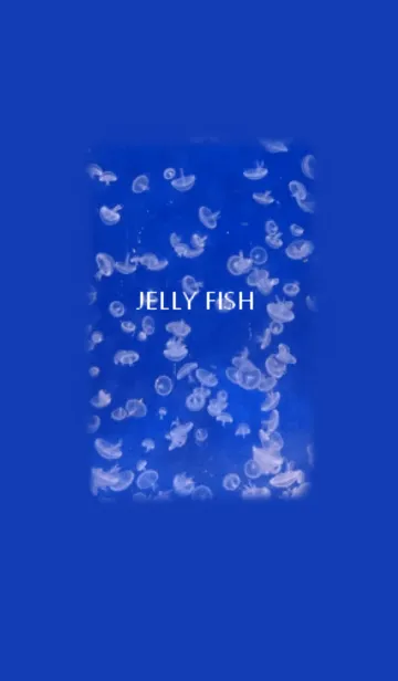 [LINE着せ替え] ちょるのくらげの画像1