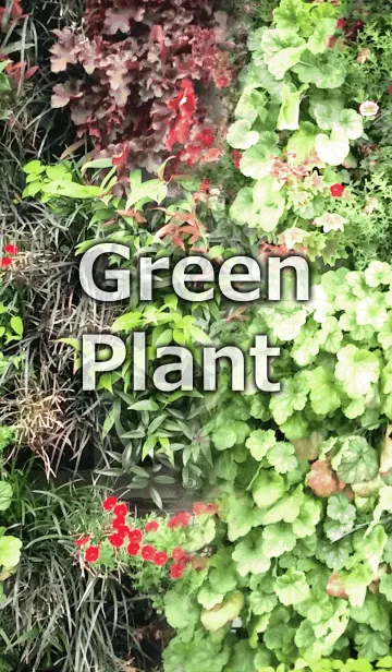 [LINE着せ替え] グリーンプラント-Green Plantの画像1