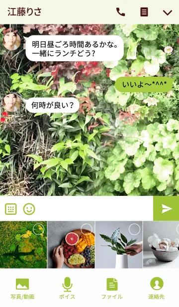 [LINE着せ替え] グリーンプラント-Green Plantの画像4