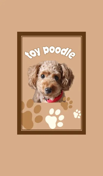 [LINE着せ替え] トイプー大好きの画像1