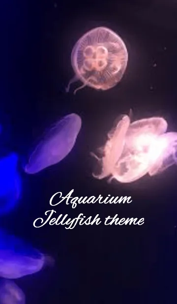 [LINE着せ替え] Aquarium Jellyfish.の画像1