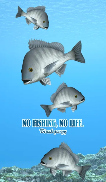 [LINE着せ替え] クロダイ 1の画像1