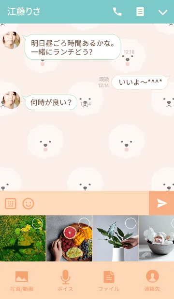 [LINE着せ替え] Bichon Frise themeの画像4
